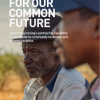 Partnering for our Common Future: Optimising mining’s partnering capability to contribute to community resilience and thriving societies